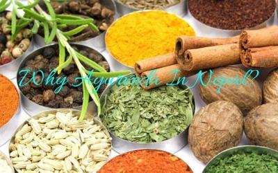 Why Ayurveda In Nepal?