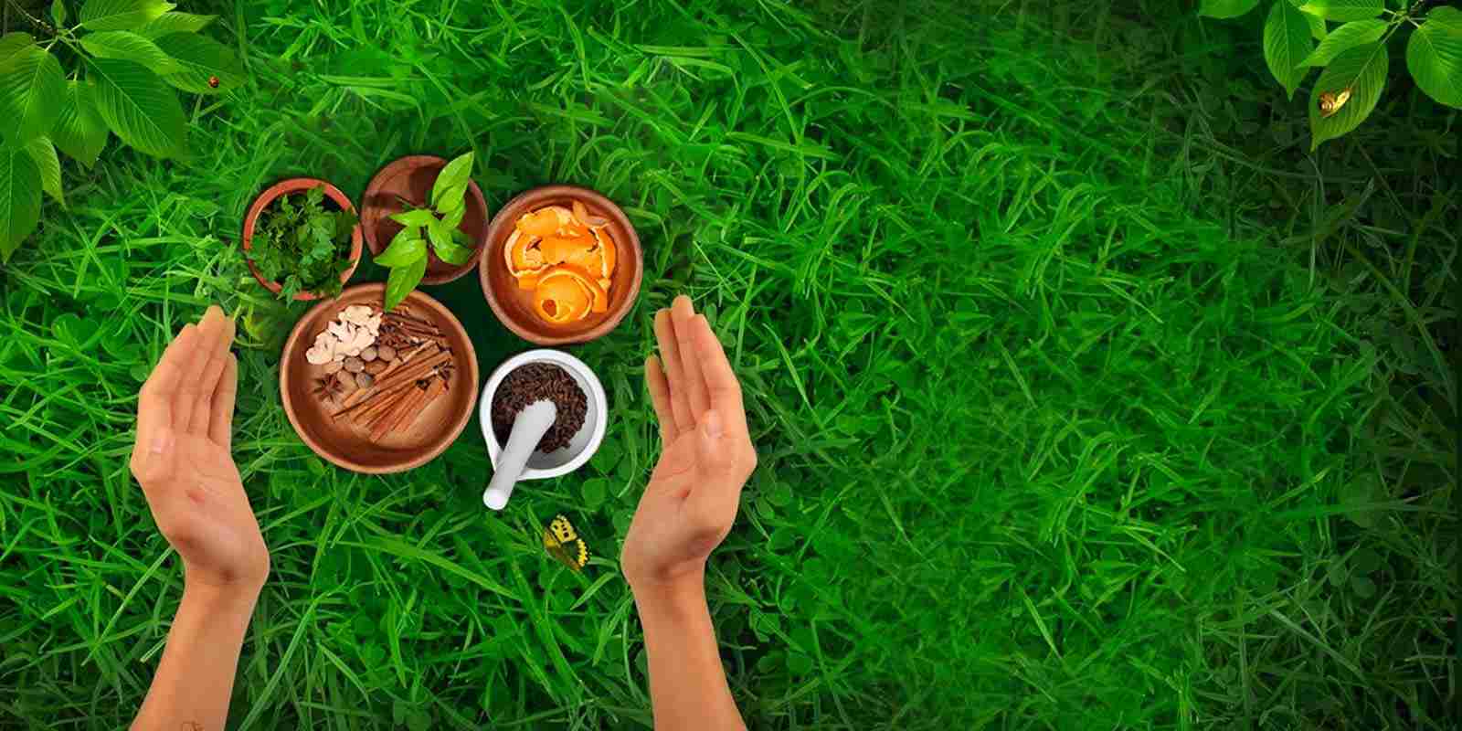 Ayurveda training class in Nepal