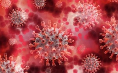 10 Ayurvedic Ways to Prevent Covid-19  | Prevention of Coronavirus