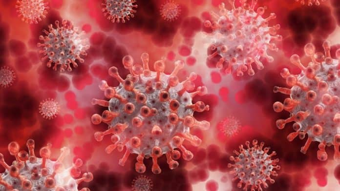 prevention of coronavirus in ayurvedic way