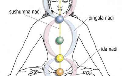 Pancha Prana and its relation with 7 chakras