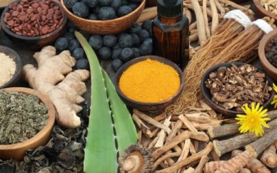 5 Ayurvedic Herbs In The Kitchen | Make your Kitchen Delicious and Healthy