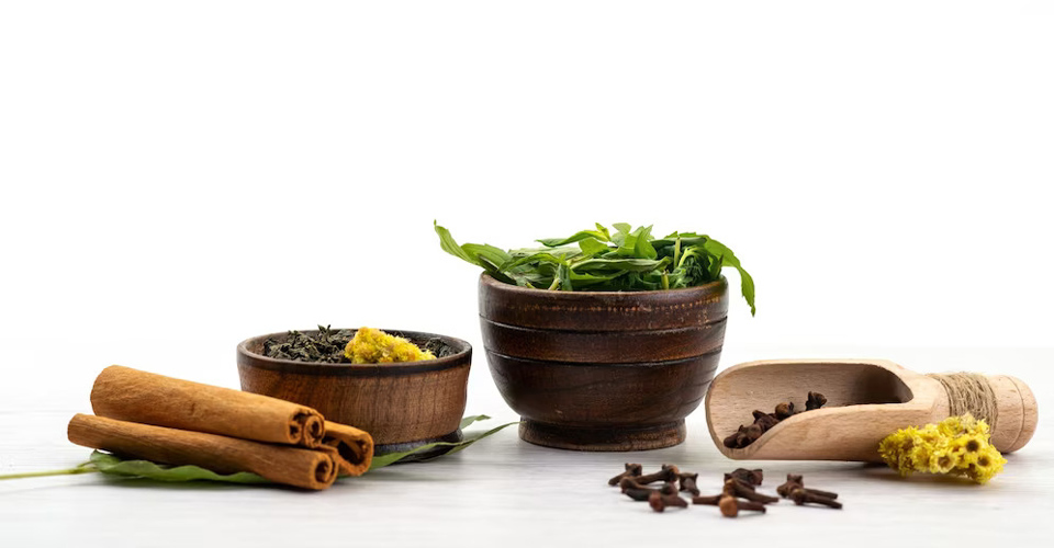 Unlocking the Healing Potential: Single Ayurvedic Herbs for Disease Management