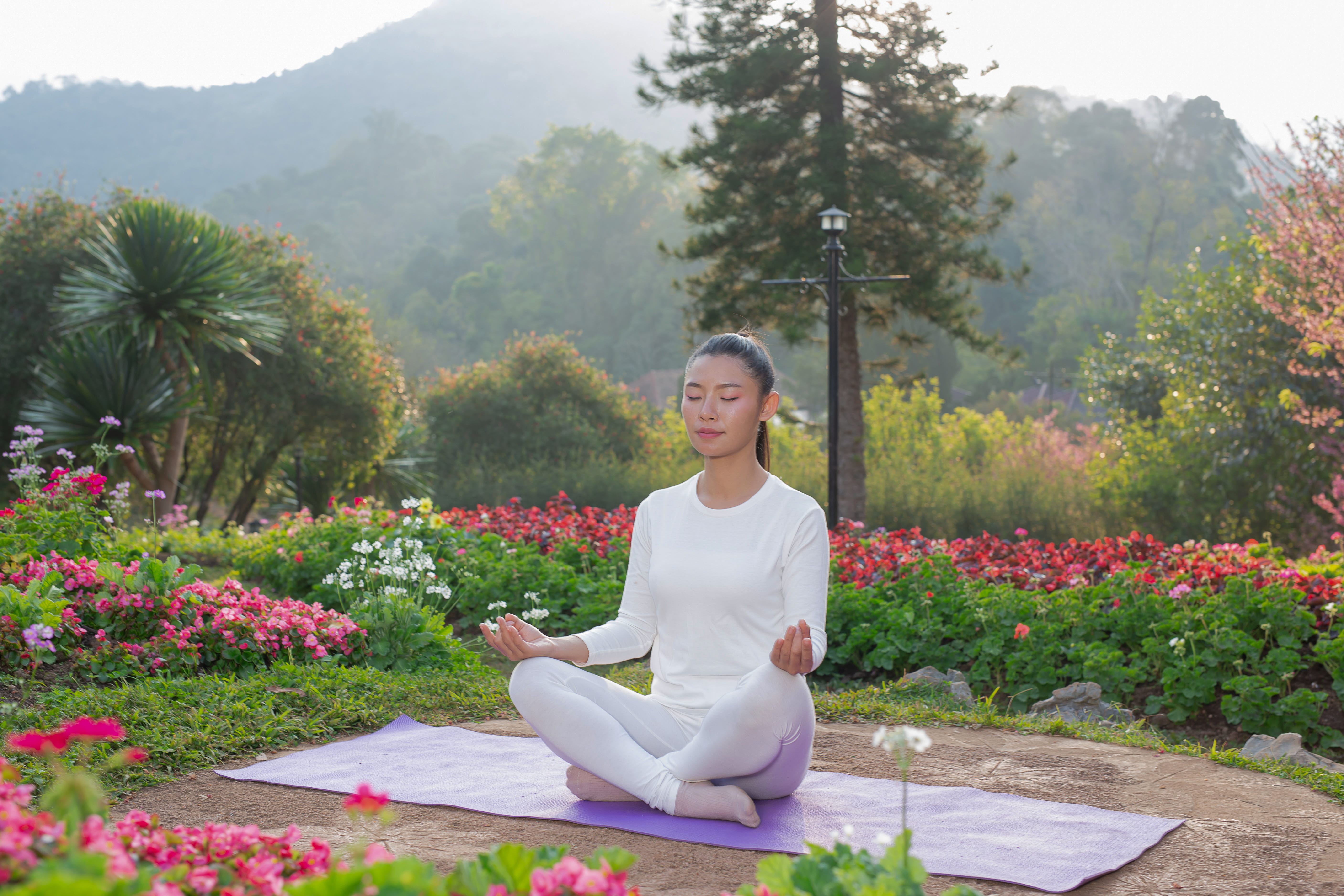 Yoga and Ayurveda Retreat: The Complete Healing Combination